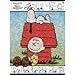Snoopy & Charlie Brown Photomosaic 1000pcs