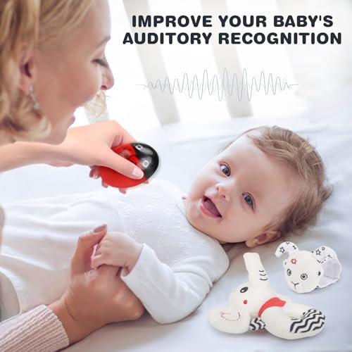 Joyreal Baby Sensory Toys, 13 Pcs Black and White Sensory Toys 0-6 Months, Foil Blanket, Sensory Cards, Baby Rattles, Ribbon Ring, Scarf, Maracas, Newborn Toys Sensory Box 0-3 Months Gifts