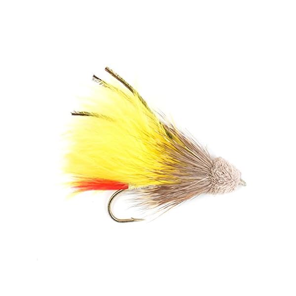 The-Fly-Fishing-Place-Muddler-Minnow-and-Sculpin-Streamer-Flies-Set-of-5-Bass-and-Trout-Fly-Fishing-Flies-Hook-Sizes-2-and-4