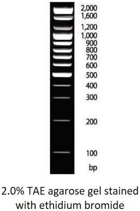 100 bp DNA Ladder (D-1030, Ready-to-Load, Small, 250, 1, D-1030)