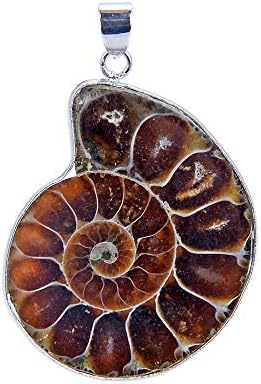 TheTasteJewelry 42x34mm Pair Ammonite Fossil Pendant Necklace Jewelry Making Healing
