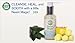 Neem Magic - Amazing Neem Cleanser - Paraban Free - Organic
