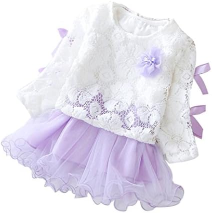 ZLOLIA Baby Clothes Autumn Winter Infant Kids Girls Lace Party Cute Tutu Princess Dress (100, Purple)
