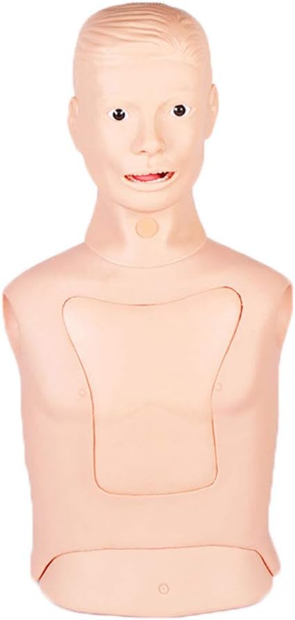 Medical Advanced Nasogastric Tube and Tracheal Care Nursing Model Gastrointestinal Tracheotomy Model Endotracheal Intubation Gastric Tube Model