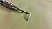 1 Premium Grade Orban Gingivectomy Knife 1/2 Long Periodontal Dental Instrument 15.2cm 6