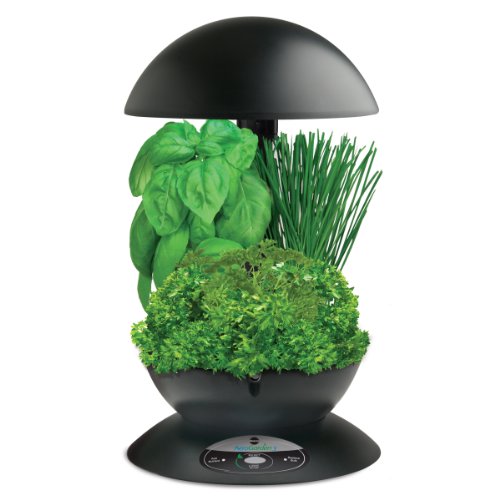 Jastip - Jual Beli Miracle-gro Aerogarden 3-pod Indoor Garden With Gourmet Herb Seed Kit Black