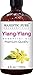 Majestic Pure Ylang Ylang (Cananga Odorata) Therapeutic Grade Essential Oil, 4 fl. oz.