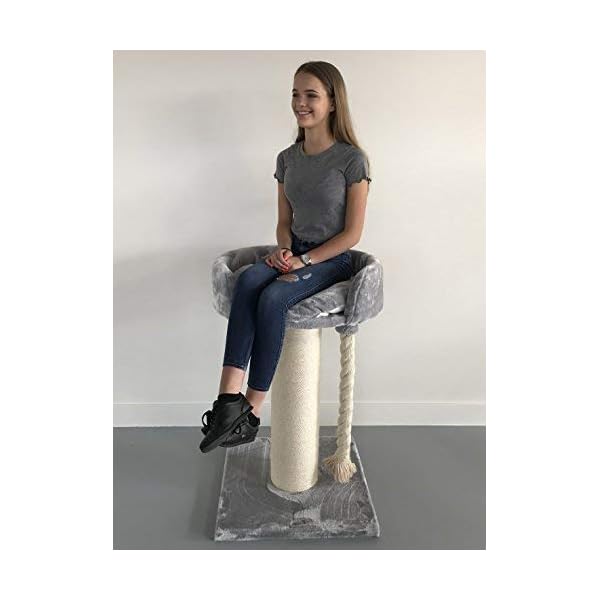 Tiragraffi per gatti grandi xxl Chartreux Grigio Chiaro maine coon robusto adulti grande gatto albero enormi giganti XL