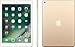 Apple iPad with WiFi, 32GB, Gold (2017 Model)