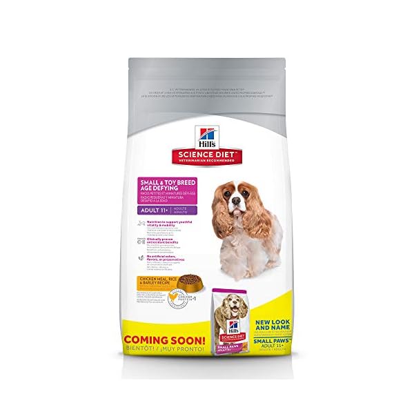 hills small and toy breed