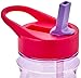 Zak Designs Trolls Movie 16 oz. Water Bottle with Straw, Poppy & Cooper