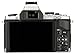 OLYMPUS E-M5 OM-D Series Digital SLR Camera Body Only (Silver)