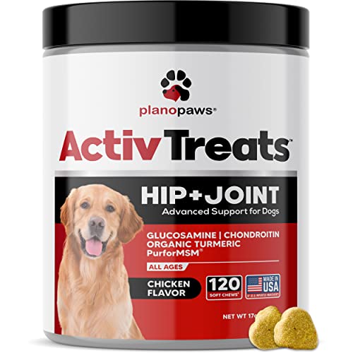 Glucosamine for Dogs Hip and Joint Supplement Safe Joint Support for