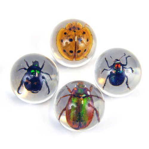 REALBUG Beetle Marbles 4pcs Set