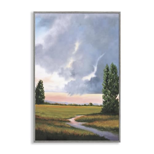 Stupell Industries Ominous Storm Cloud Scenery Gray Framed Giclee Art design by…