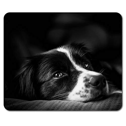 Destination Vinyl Ltd Border Collie Mouse Mat Pad - Puppy Farm Sheep Dog Farmer Computer #8639