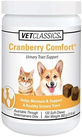 small dog bladder control