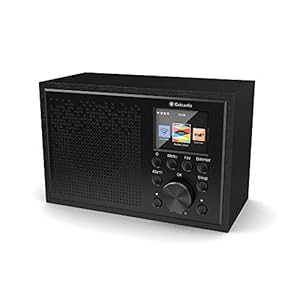 Oakcastle IR100 DAB Plus Radio/WLAN-radio met Bluetooth, Spotify Connect, dubbele wekker, line-in, app-besturing en…