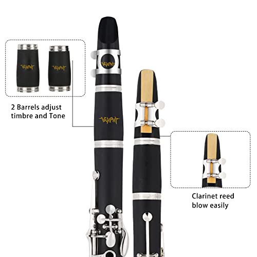 VANPHY Bb for Student Beginner, B Flat 17 Nickelplated Keys
