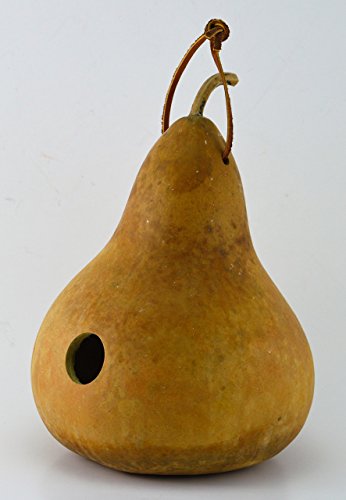 Gourd Birdhouse, Unfinished, Create Your Own Birdhouse, Childrens Crafts, Arts and Crafts, Outdoor crafts, Rustic Décor, Country Life, Bird Lovers, Kids Project - Thumbnail 4