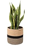TIMEYARD Sturdy Jute Rope Plant Basket Modern Woven Basket for 10" Flower Pot Floor Indoor Planters, 11" x 11" Storage Organizer Basket Rustic Home Decor, Black and Beige Stripes