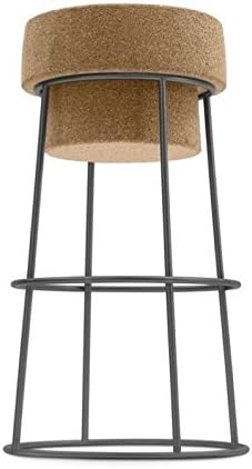 Domitalia Bouchon 25.25" Counter Stool in Anthracite