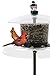 Droll Yankees Squirrel Proof Bird Feeder, Pole Cardinal Bird Feeders, Jagunda, 7.5 Feet, Auger Anchor, Clear, JGA