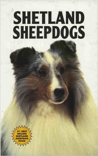 Shetland Sheepdogs �n�[�h�J�o�[ - 1995/12/1