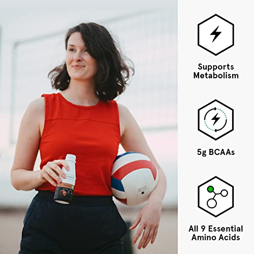 Soylent Complete Protein GlutenFree Vegan Protein Meal Replacement Shake, Chocolate, 11 Oz