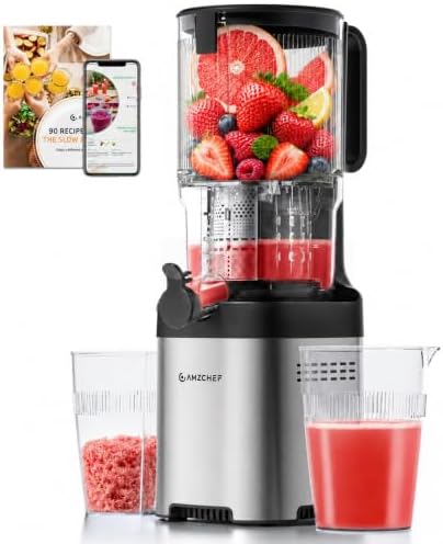 Entsafter - Slow Juicer mit 135 mm großem Einfüllschacht für ganzes Obst und Gemüse - Leicht zu Reinigen mit 2 Gläsern - Silber