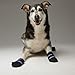 Healers Medical Dog Boots and Bandages, Large,BLUE