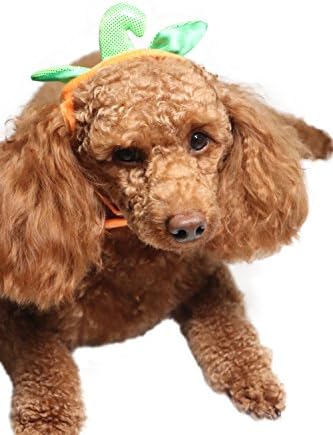 Cats Dogs Pumpkin Warm Adjustable Costumes with Hat for Pet Halloween Party Cosplay