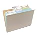 Smead SuperTab File Folder, Oversized 1/3-Cut Tab, Letter Size, Assorted Pastel Colors, 100 per Box (11961), Pack of 1