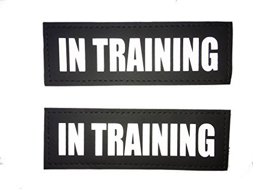Albcorp Reflective In Training Patches with Hook Backing for Service Animal Vests /Harnesses Large (6 X 2) Inch