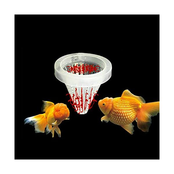 MEI 10pcs Acquario Rosso Alimentatore coneLive salamoia gamberetti Cibo per Pesci MEI MEI 10pcs Acquario Rosso Alimentatore coneLive salamoia gamberetti Cibo per Pesci