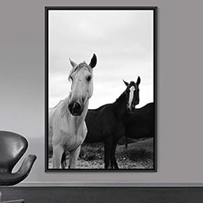 signwin Framed Canvas Wall Art High Contrast Horse...