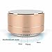 Pobode Wireless Stereo Portable Bluetooth Speakers with Handsfree- Super Mini Metal Wireless Speaker System For iPhone, Car, TV, Outdoors Function, USB and TF Card Port, Durable & Compact(Gold)