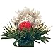 Grosche Jasmine Blooming Tea Flowering Tea Variety Gift Set - Includes 12 blooming teas