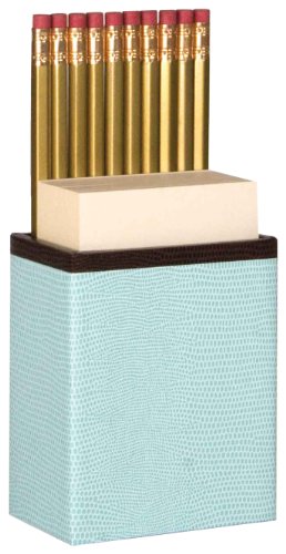 Entertaining with Caspari Lizard Pencil and Paper Caddy, Robin's Egg Blue