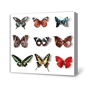 Canvas Wall Art for Living Room,Bedroom Home Artwork Paintings Butterfly Ready to Hang - 12x12 inches