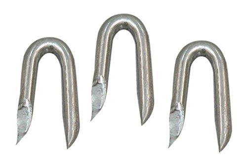 Grampo de Cerca Galvanizado 1 Pol x 09 BWG com 20 kg