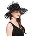 Saferin Women's Kentucky Derby Party Church Wedding Floral Organza Hat Black with Bowknot One Size