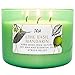 Lime Basil Mandarin Scented Candle - Large 3 Wick Soy Candle 15.8 oz - Aromatherapy Candle for Stress Relief - Fresh Citrus Scented Candles - Long Lasting Clean Burn - Gift for Women & Men