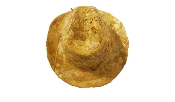 mini straw cowboy hats