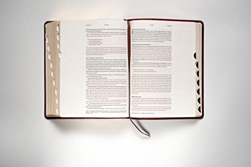 NLT Wide Margin Bible, Filament Enabled (LeatherLike, Dark Brown Palm, Indexed, Red Letter) NLT Wide Margin Bible, Filament Enabled (LeatherLike, Dark Brown Palm, Indexed, Red Letter) Imitation Leather