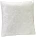 Amazon Basics Pillow Insert - 16-Inch Square, 2-Pack