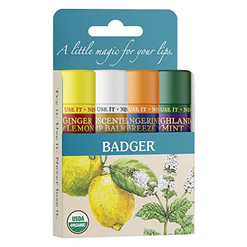 Badger Classic Lip Balm Gold Box with Aloe, Extra Virgin Olive Oil