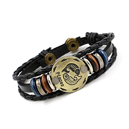 12 Constellation Zodiac Sign Logo Charms Braceletï¼ŒGift Idea for Your Beloved ones (PiscesÂ )