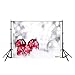LB 7x5ft Christmas Balls Backdrop Vinyl Gray Snowflake Outdoor Backdrops for Photography Home Holiday Party Decoration Photoshoot Photo Booth Studio Props