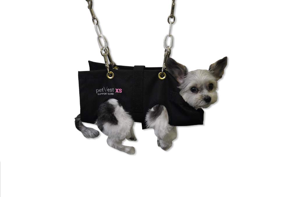 Romani Pet Vest Support System X Sm Support Sling Buy Online In Qatar At Qatar Desertcart Com Productid 19229036